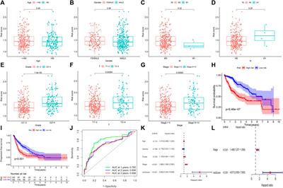 Characterization of chromatin regulators in hepatocellular carcinoma to guide clinical therapy